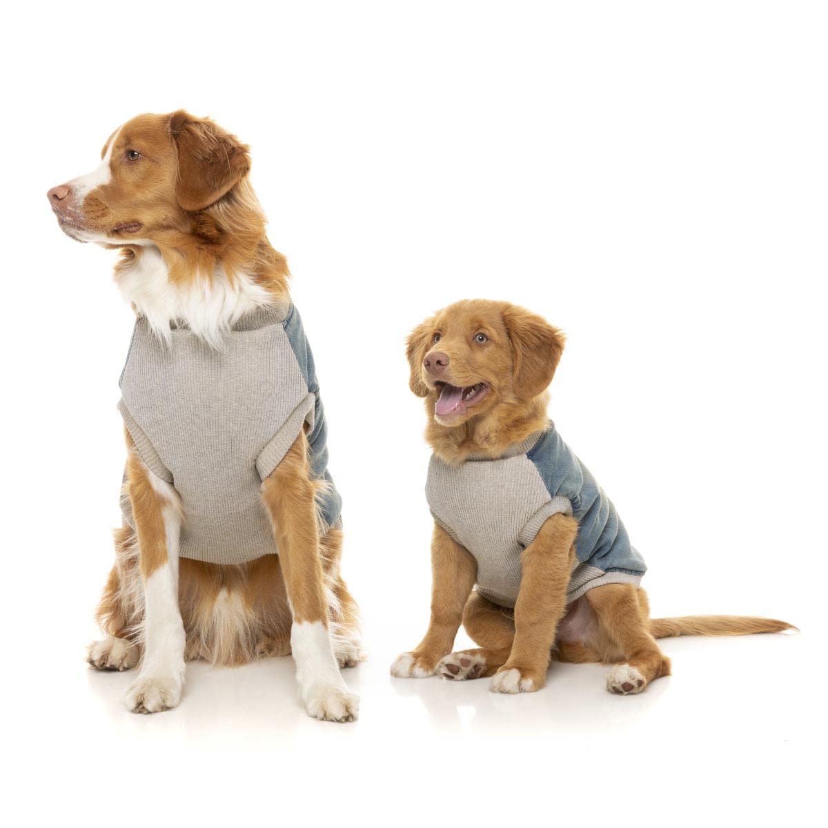 fuzzyard denim jacket